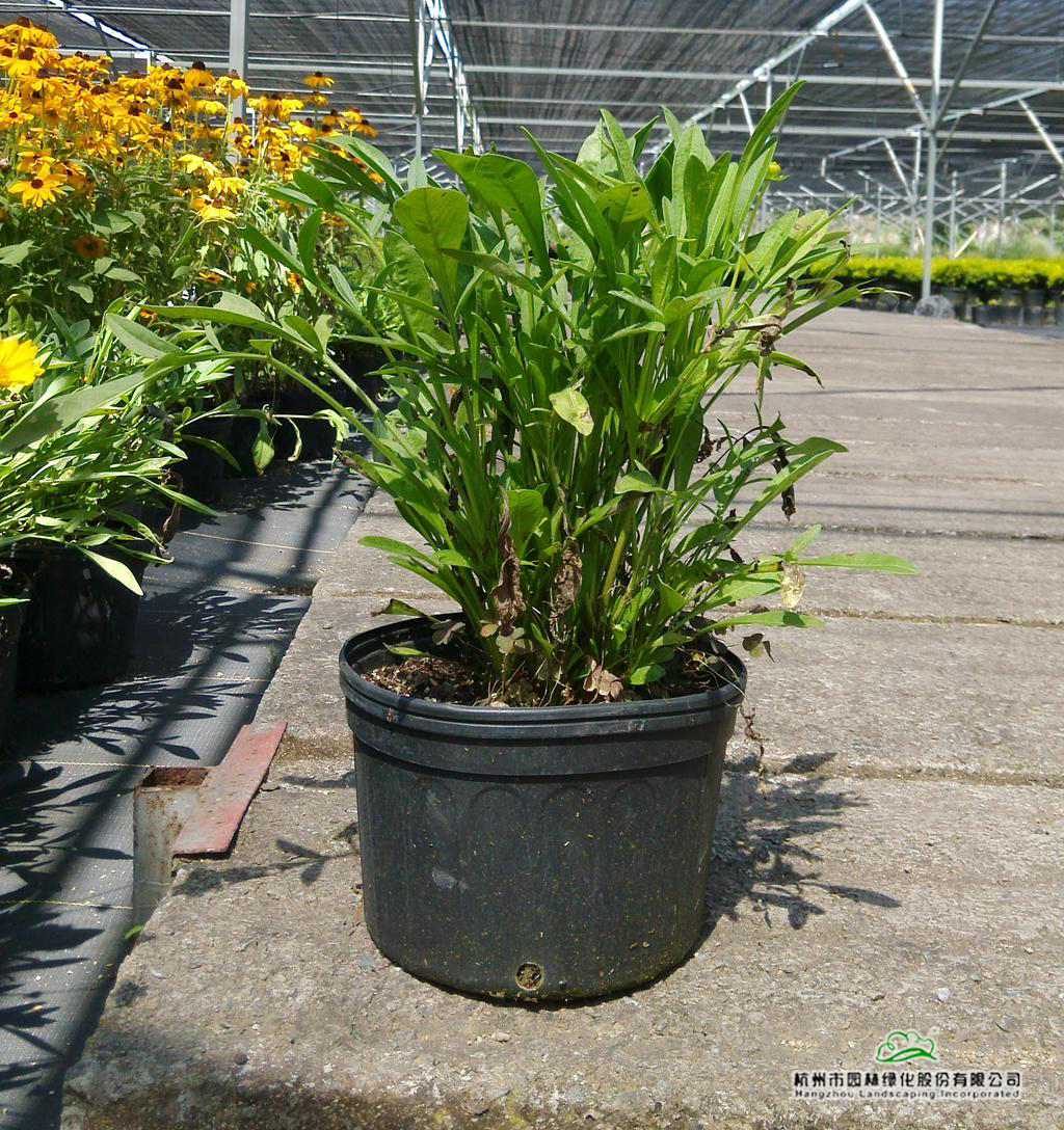 彩运网(中国游)官方网站