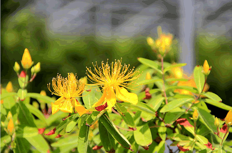 彩运网(中国游)官方网站