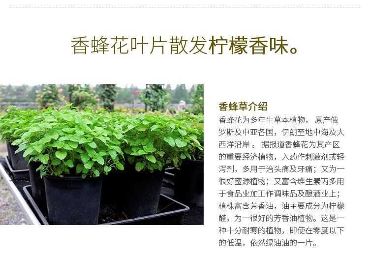 彩运网(中国游)官方网站