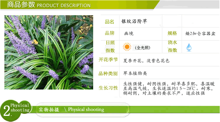 彩运网(中国游)官方网站