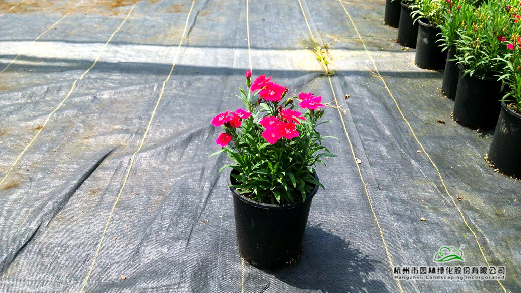 彩运网(中国游)官方网站