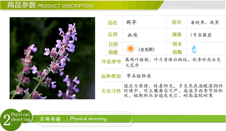 彩运网(中国游)官方网站