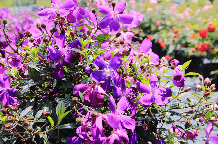 彩运网(中国游)官方网站