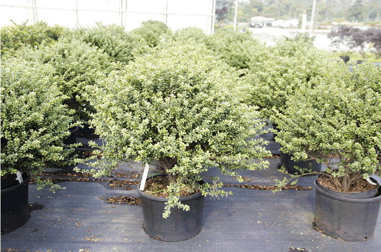 彩运网(中国游)官方网站