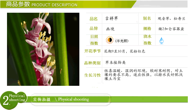 彩运网(中国游)官方网站