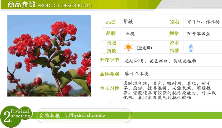 彩运网(中国游)官方网站