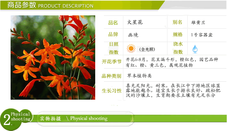 彩运网(中国游)官方网站