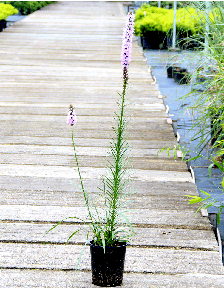 彩运网(中国游)官方网站