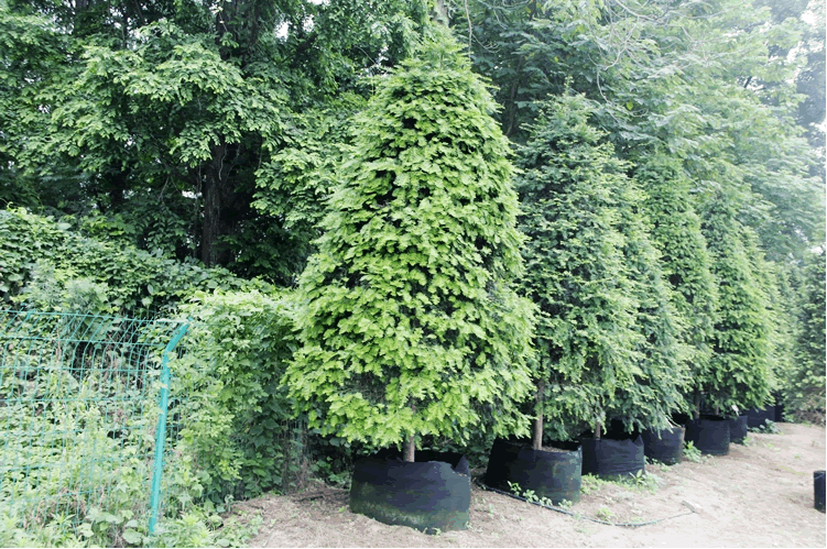 彩运网(中国游)官方网站