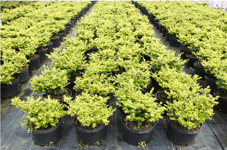 彩运网(中国游)官方网站