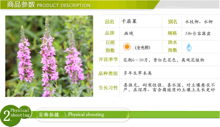 彩运网(中国游)官方网站