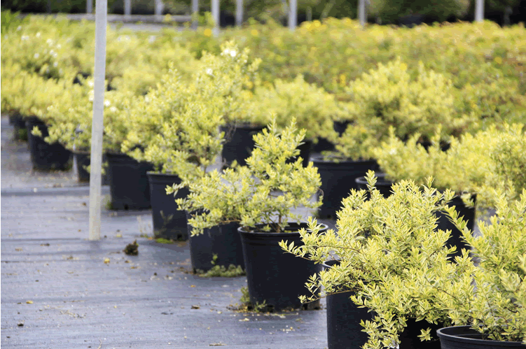 彩运网(中国游)官方网站