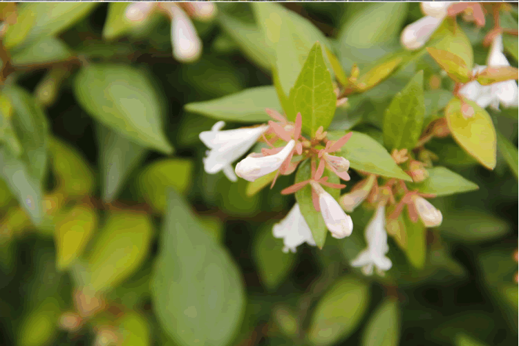 彩运网(中国游)官方网站