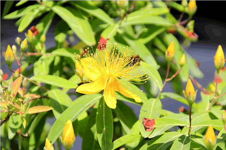 彩运网(中国游)官方网站