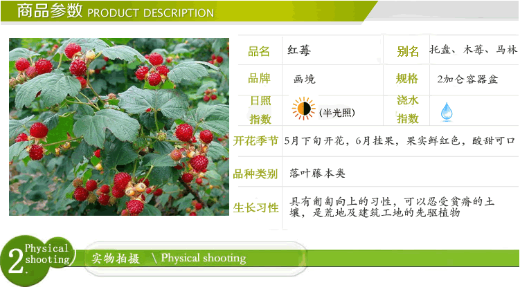 彩运网(中国游)官方网站