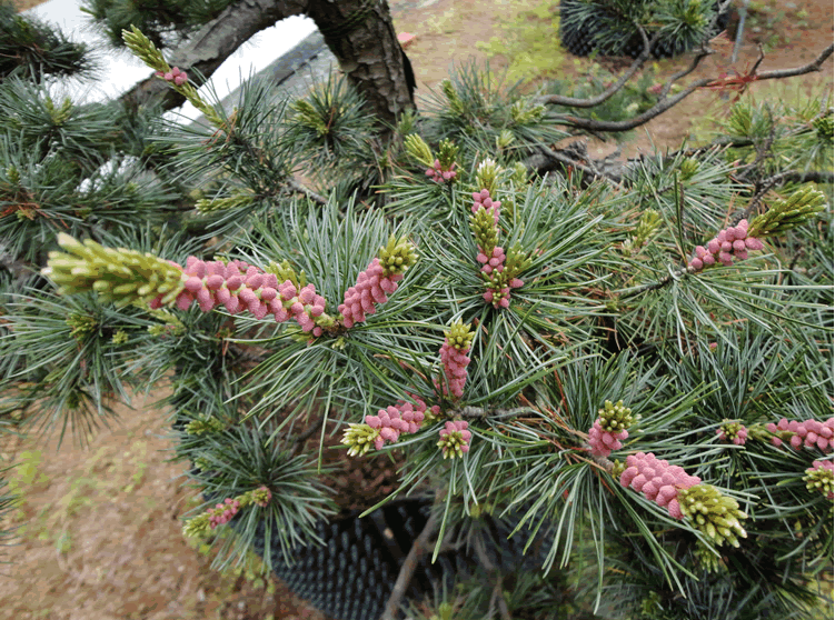 彩运网(中国游)官方网站