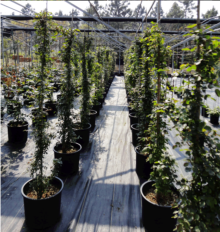 彩运网(中国游)官方网站