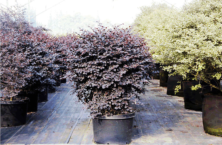 彩运网(中国游)官方网站