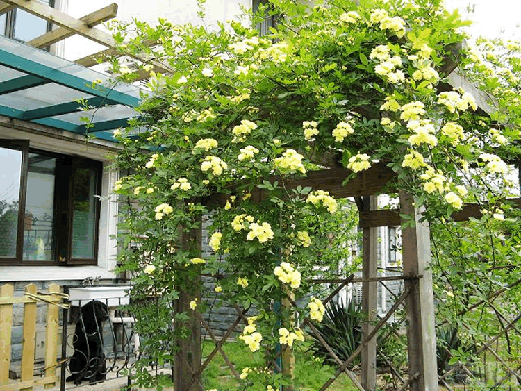 彩运网(中国游)官方网站