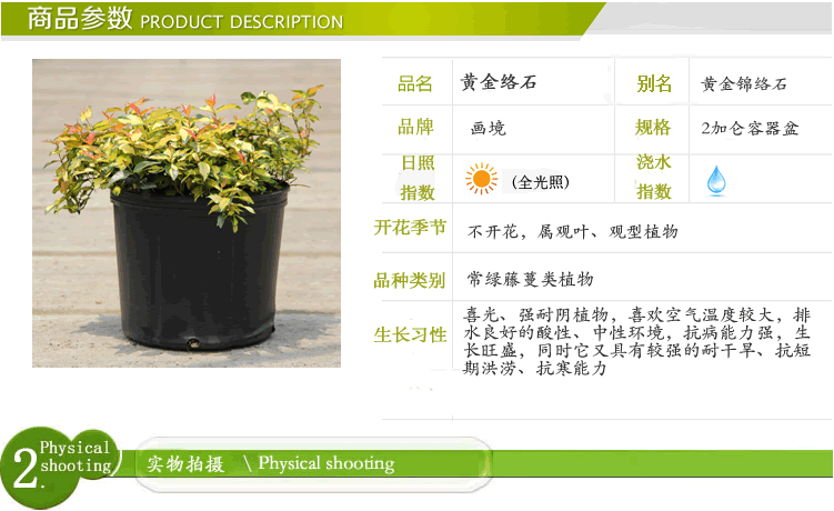 彩运网(中国游)官方网站