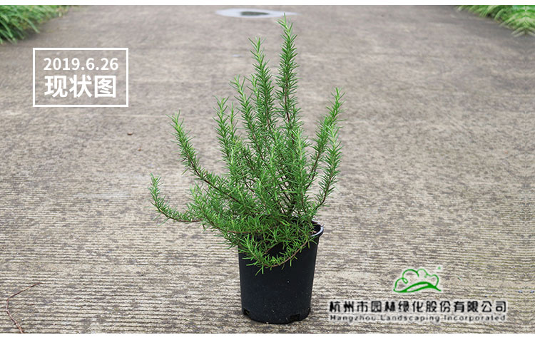 彩运网(中国游)官方网站