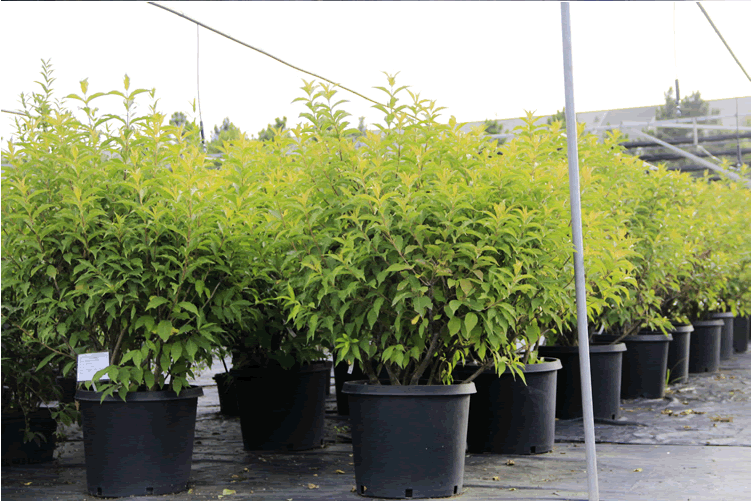 彩运网(中国游)官方网站