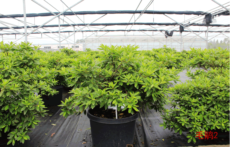 彩运网(中国游)官方网站