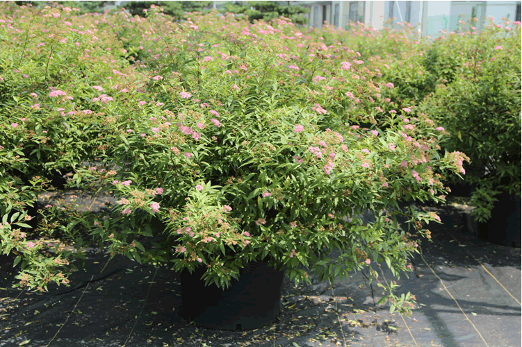 彩运网(中国游)官方网站