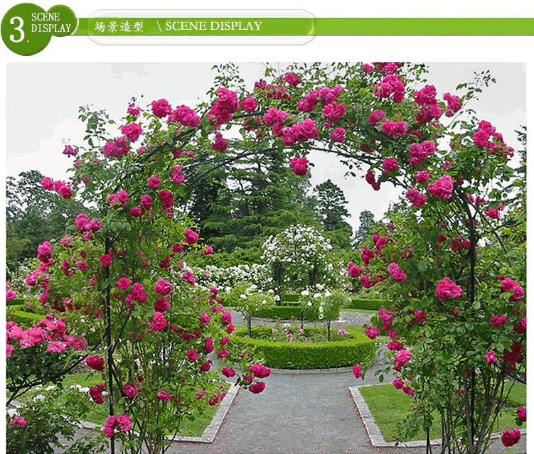 彩运网(中国游)官方网站