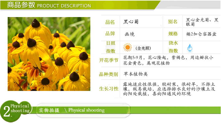 彩运网(中国游)官方网站