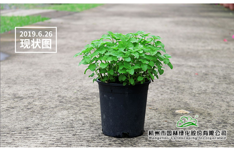 彩运网(中国游)官方网站