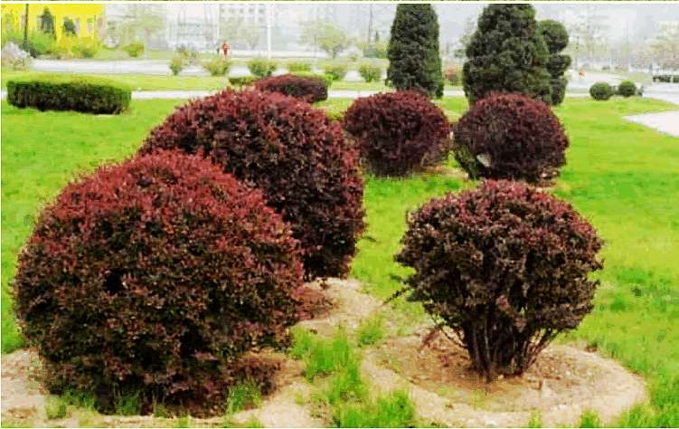 彩运网(中国游)官方网站