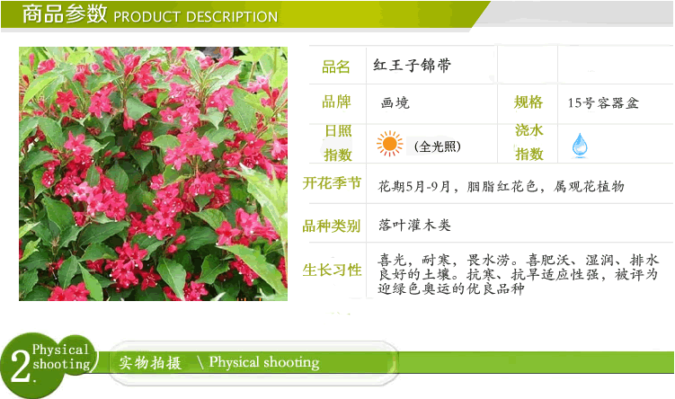 彩运网(中国游)官方网站