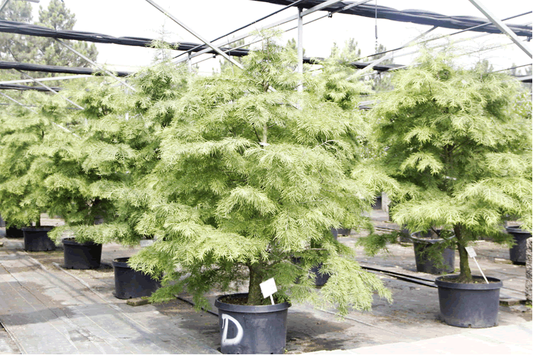 彩运网(中国游)官方网站