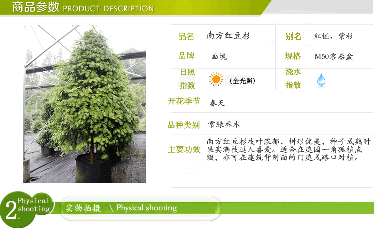 彩运网(中国游)官方网站