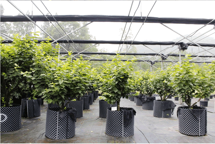 彩运网(中国游)官方网站