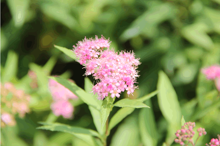 彩运网(中国游)官方网站