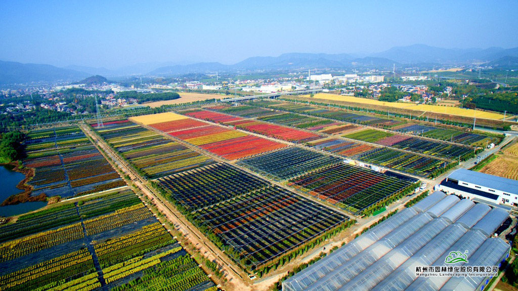 彩运网(中国游)官方网站