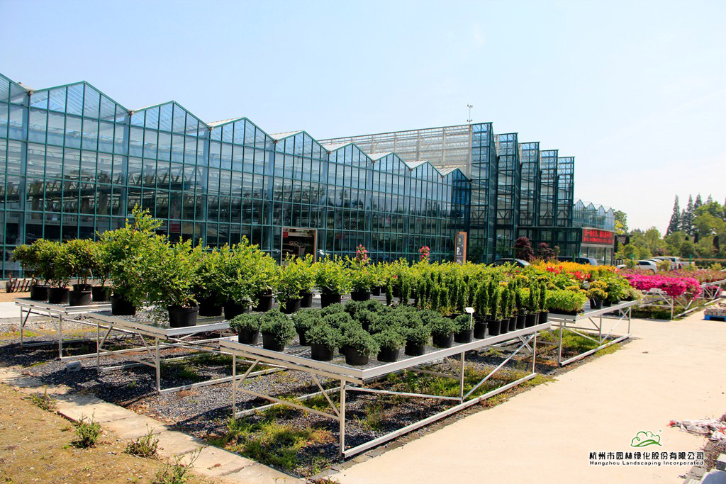 彩运网(中国游)官方网站