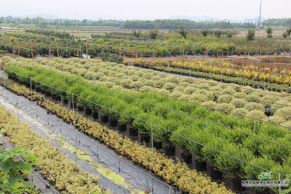 彩运网(中国游)官方网站