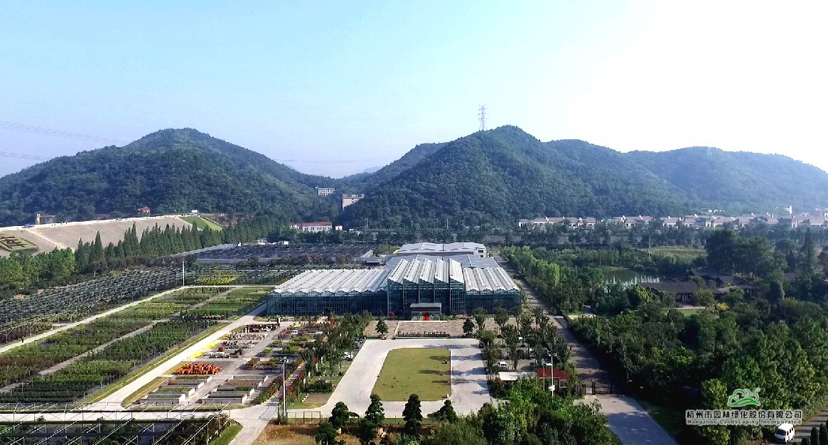 彩运网(中国游)官方网站