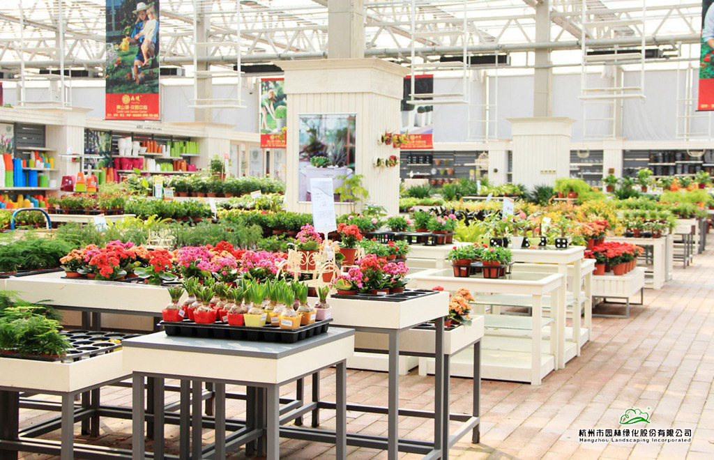 彩运网(中国游)官方网站