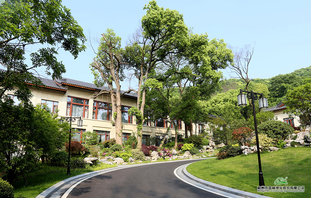 彩运网(中国游)官方网站