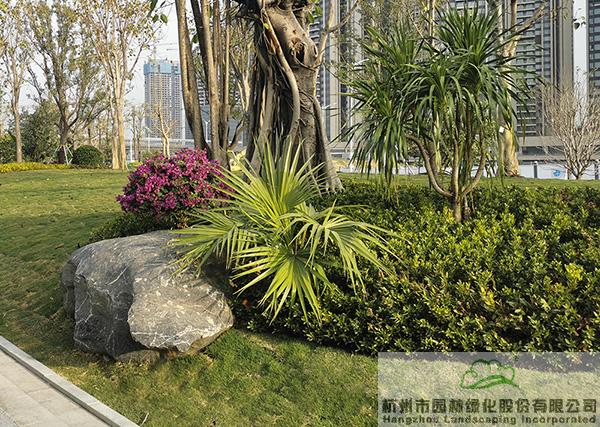 彩运网(中国游)官方网站