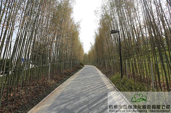 彩运网(中国游)官方网站