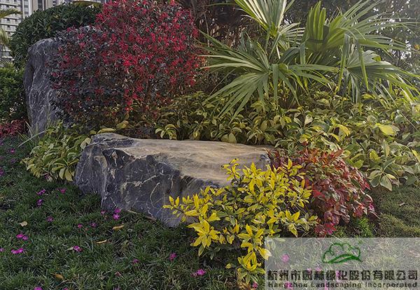 彩运网(中国游)官方网站