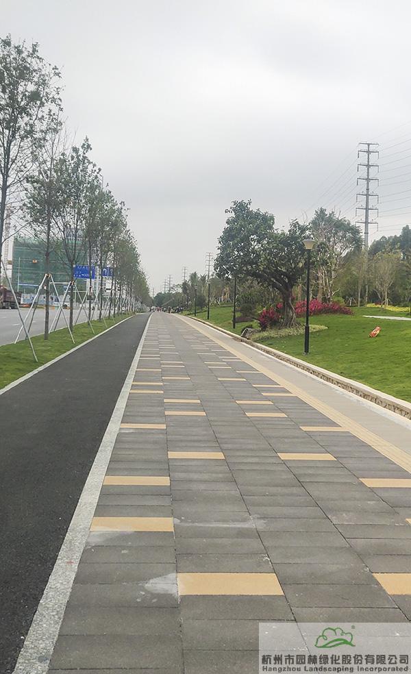 彩运网(中国游)官方网站