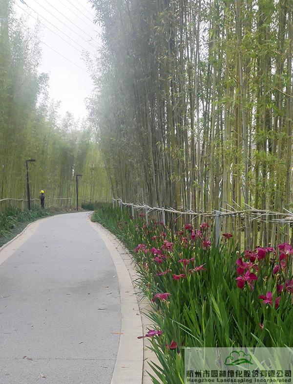 彩运网(中国游)官方网站