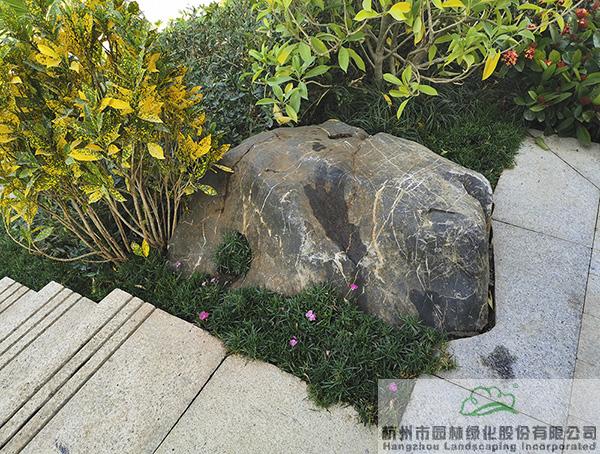 彩运网(中国游)官方网站