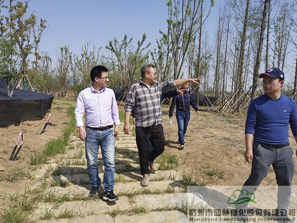 彩运网(中国游)官方网站